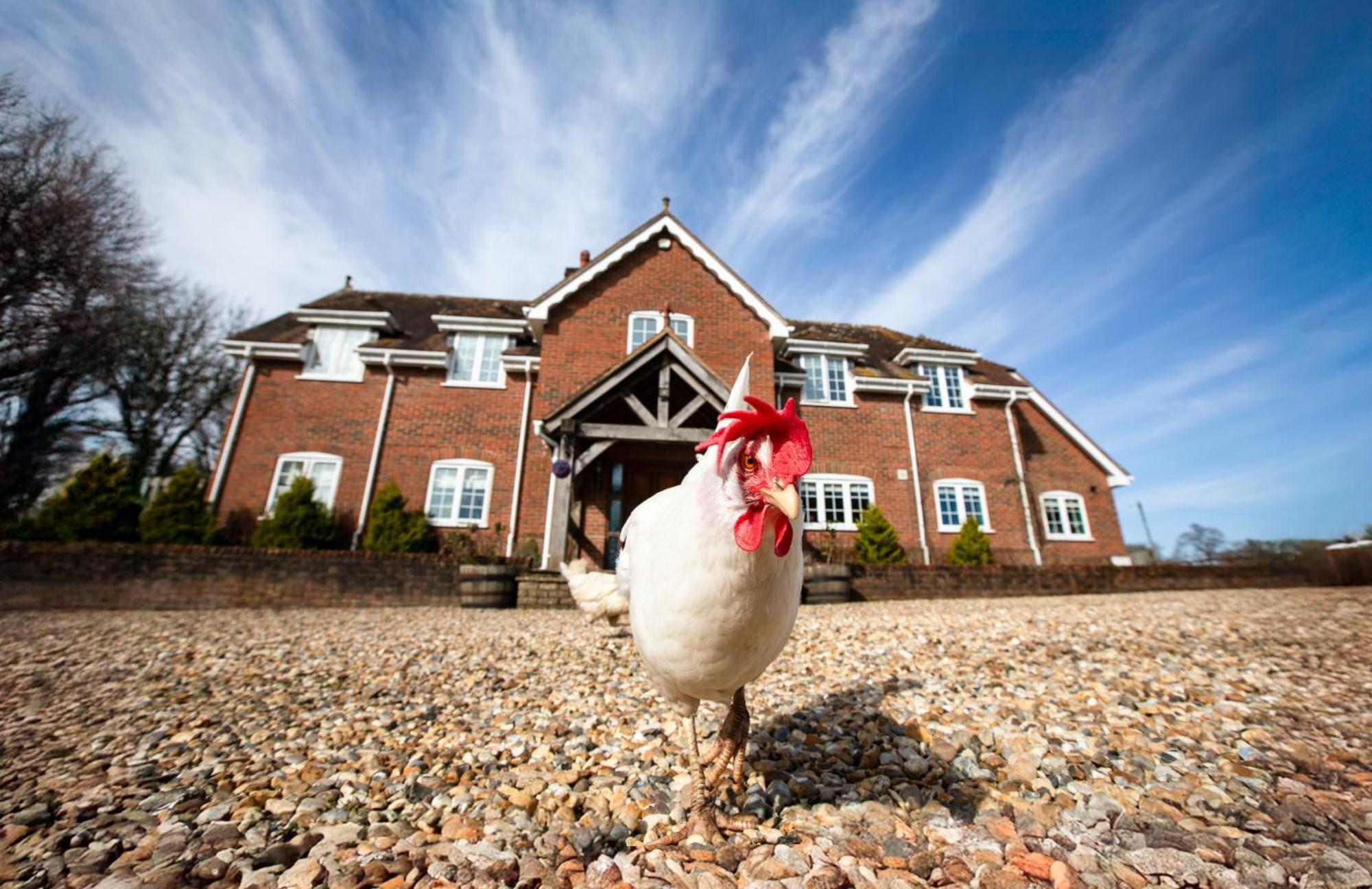 Langford Farmhouse - New Forest National Park Luxury 4Bd, Hot Tub, Cinema, 10 Acres Bartley Екстериор снимка
